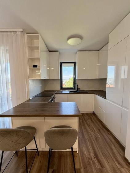 Apartament cu 2 camere semidecomandat în Dosu Bricii