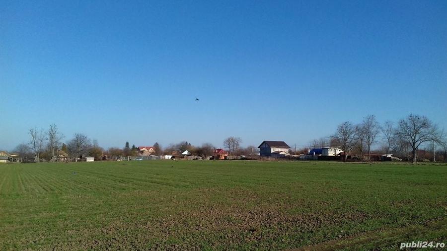 Teren de 1400 mp, în Surlari