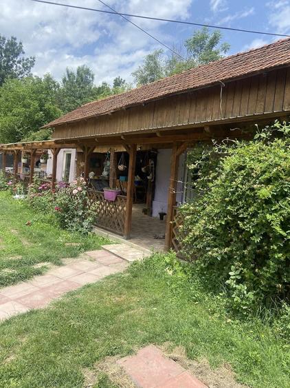 Casă cu Teren 6400 Mp în Samarinești