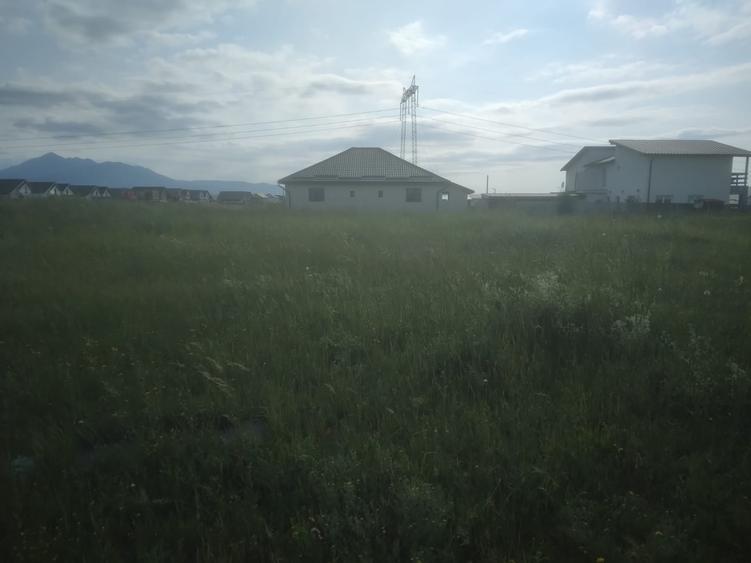 Teren agricol intravilan de 500 mp, în Tărlungeni