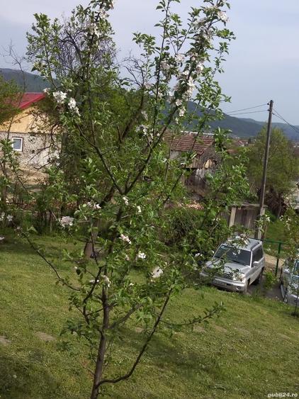 Teren de 1000 mp, în Jiblea Veche