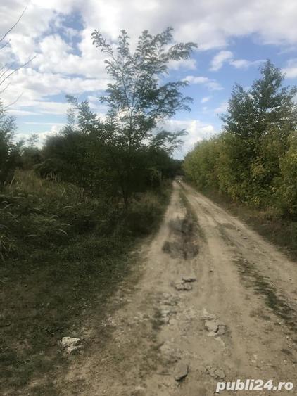 Teren de 2200 mp, în Central