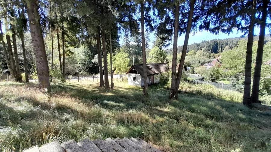 Casă cu 6 camere cu Teren 4950 Mp în Timișu de Sus