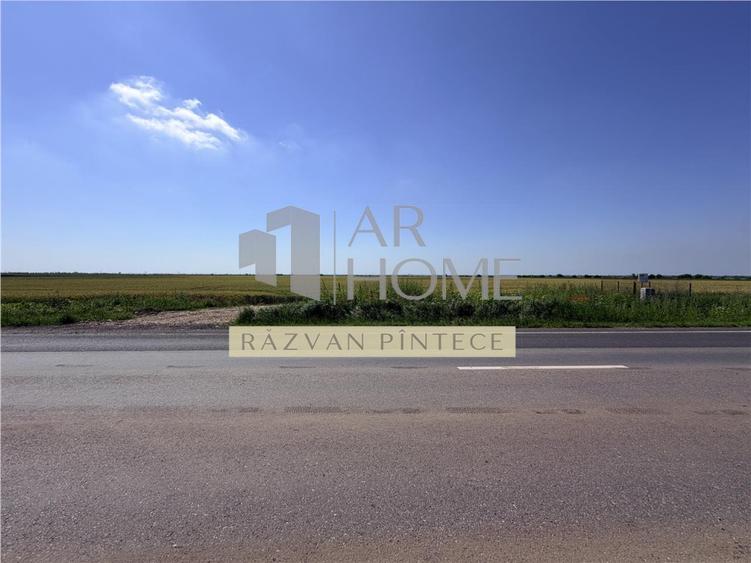 Teren industrial 6 ha, Autostrada A7, Tomsani, Prahova - 3