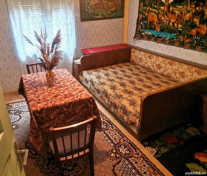 Casă cu 4 camere cu Teren 1300 Mp în Baia de Fier