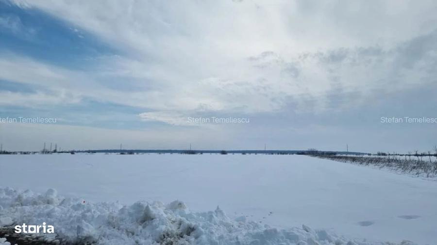 Ocazie- Teren Intravilan de Vanzare- Peris Snagov- Doar 9 euro/mp - 6