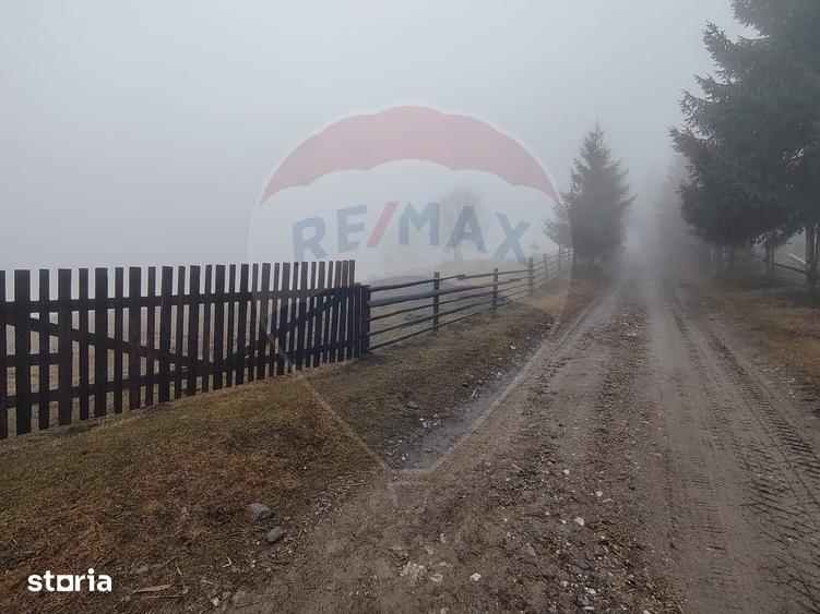 Teren de 26238 mp, în Dorna-Arini