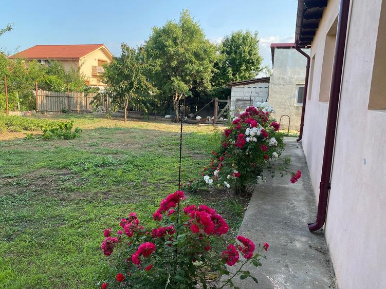 Teren Construcții intravilan de 1450 mp, în Sud