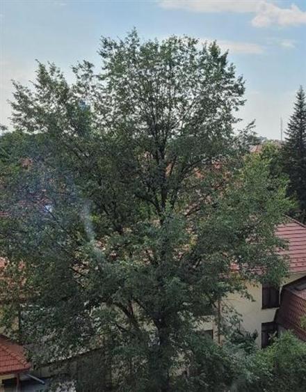 Garsonieră nedecomandată în Dămăroaia