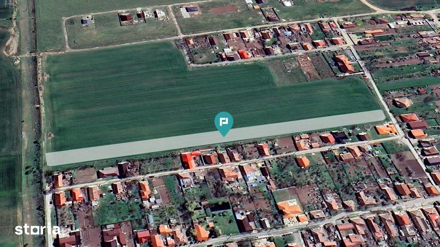 Teren de 7317 mp, în Zimandu Nou