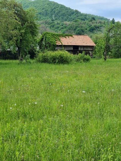 Teren Construcții intravilan de 1240 mp, în Vaduri