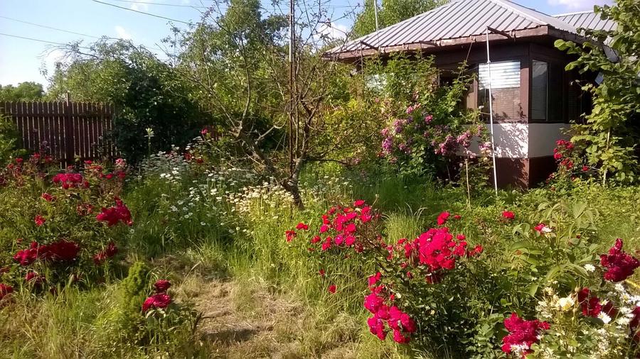 Casă cu 4 camere în Stănești