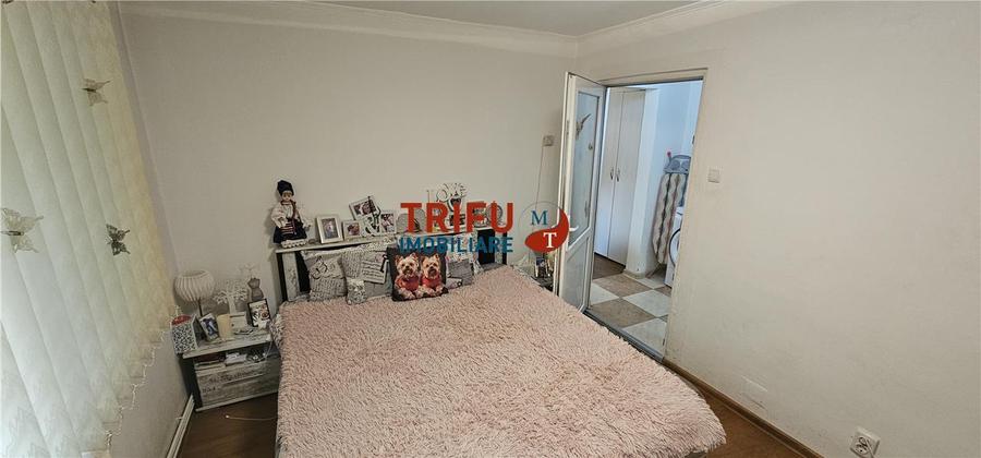 Apartament cu 2 camere nedecomandat, mobilat în Cetate