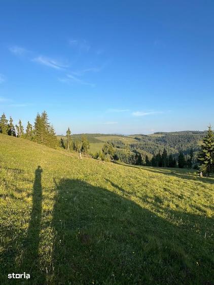 Teren de 500000 mp, în Ciocănești
