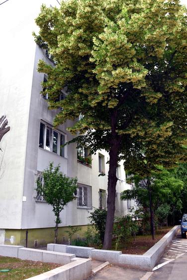 Apartament cu 2 camere decomandat în Brâncoveanu