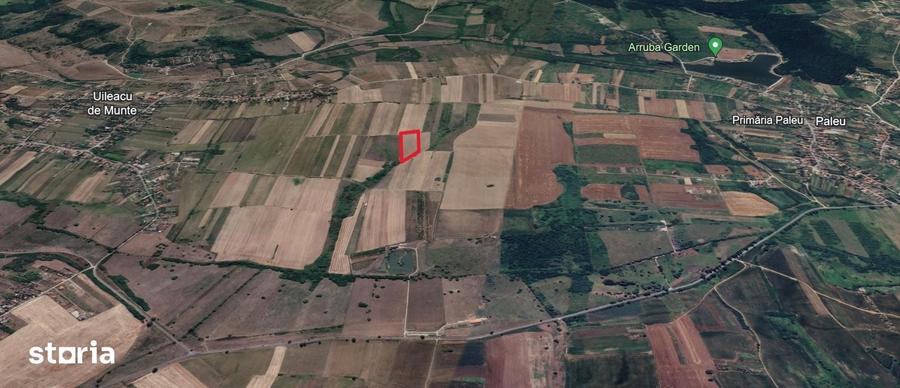 Teren de 7251 mp, în Paleu