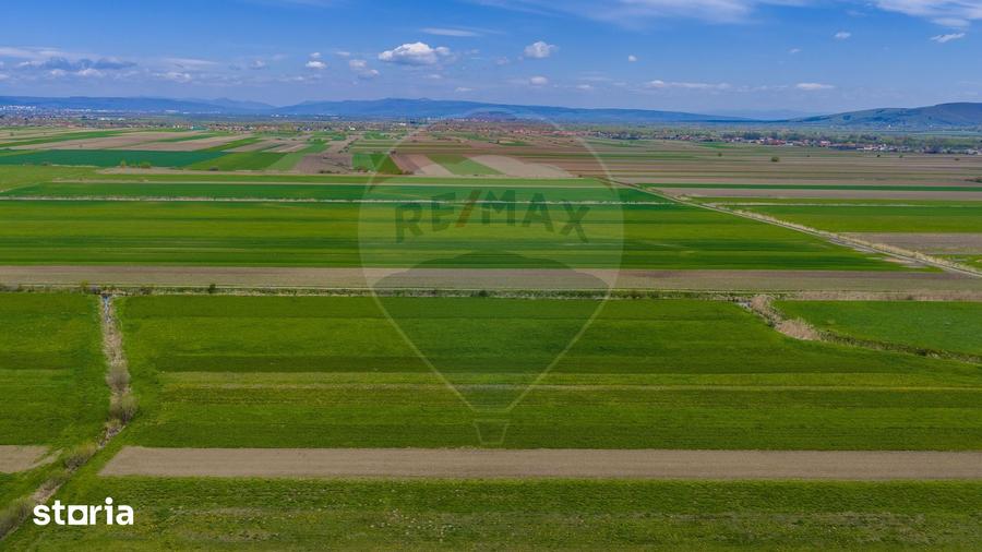 Teren de 4000 mp, în Prejmer