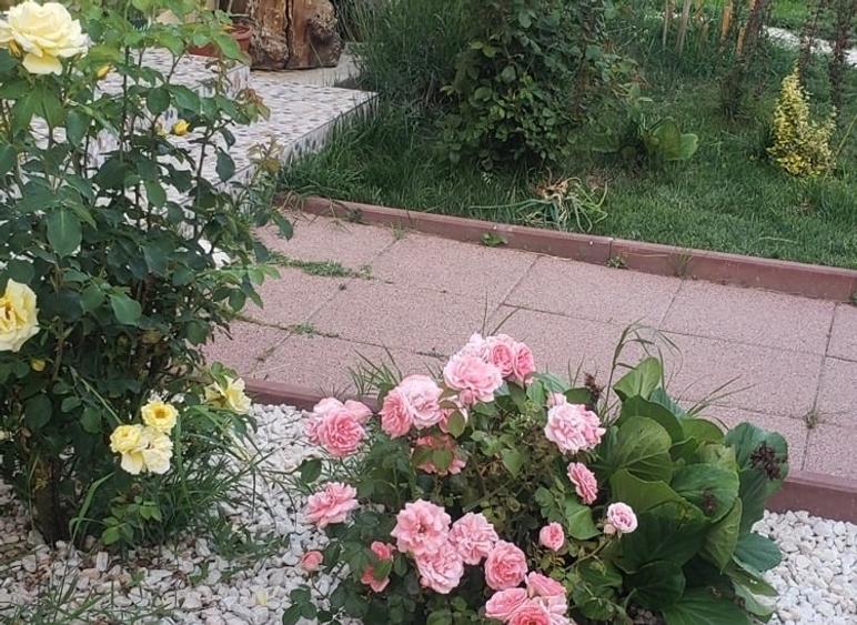 Casă individuală cu 2 camere cu Canalizare în Săbăreni