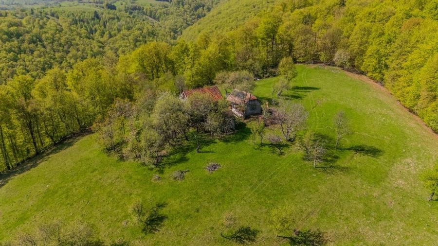 Teren Construcții extravilan de 21537 mp, în Poiana Mărului