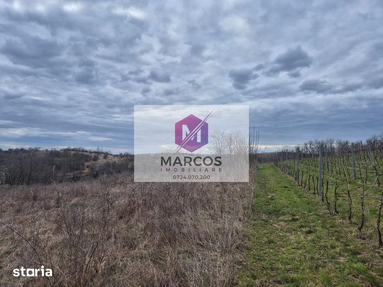 Teren de 11400 mp, în Carașova