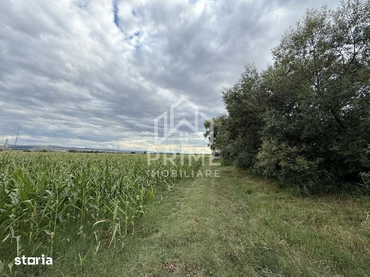 Teren de 6936 mp, în Industrială