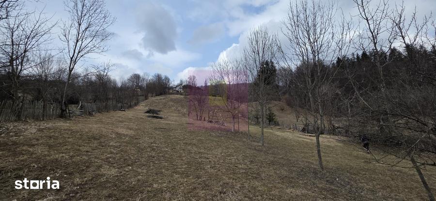 Teren de 2500 mp, în Valea Doftanei