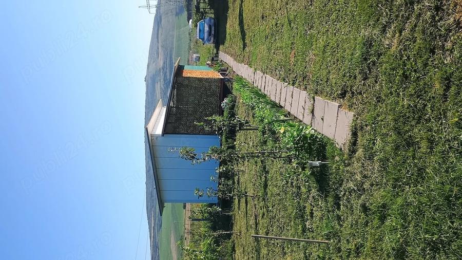 Vand teren extravilan Sat Gadalin - 4