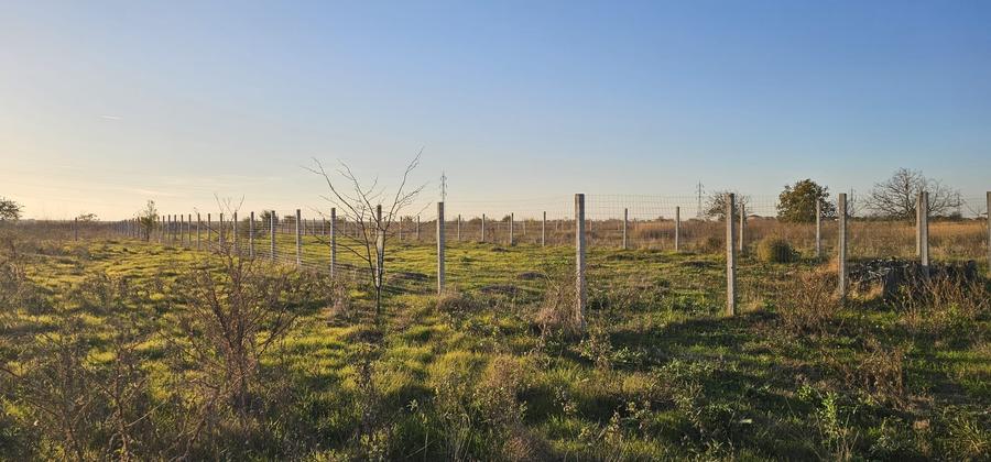 Teren Construcții intravilan de 1000 mp, în Viile Noi