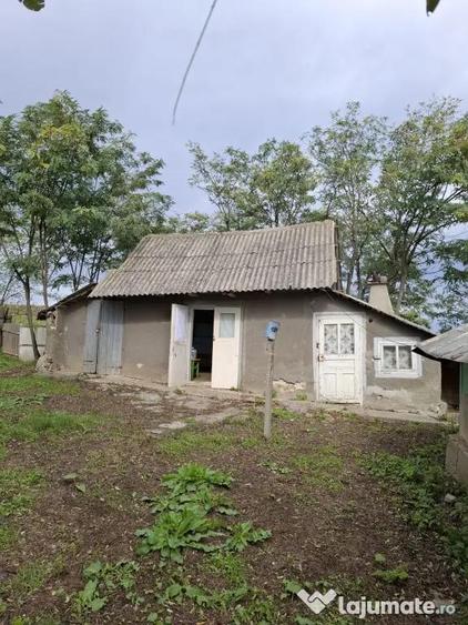 Casa si teren in sat Prisecani, com Boghesti - 5