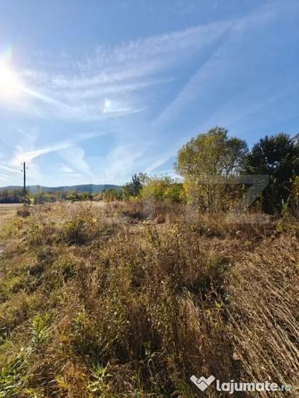 Teren în Valea Ursului
