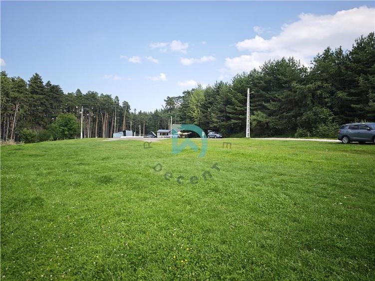 Teren Construcții intravilan de 1500 mp, în Poiana Angelescu