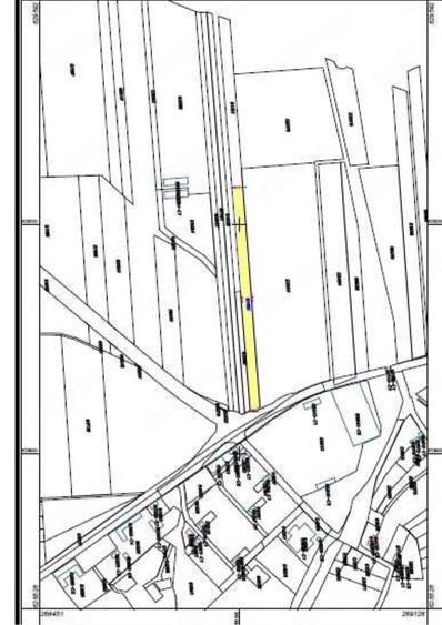 Teren de 7150 mp, în Paleu