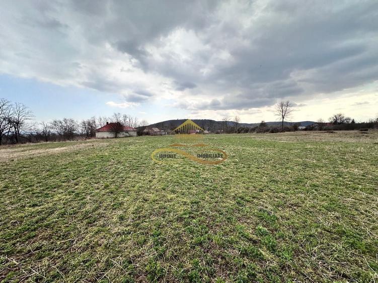 Teren Construcții intravilan de 11021 mp, în Blăgești