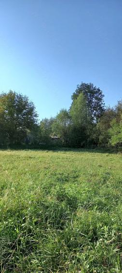 Teren de 1530 mp, în Central