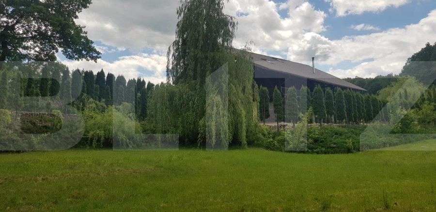 Casă individuală cu 5 camere cu Teren 3000 Mp în Făget