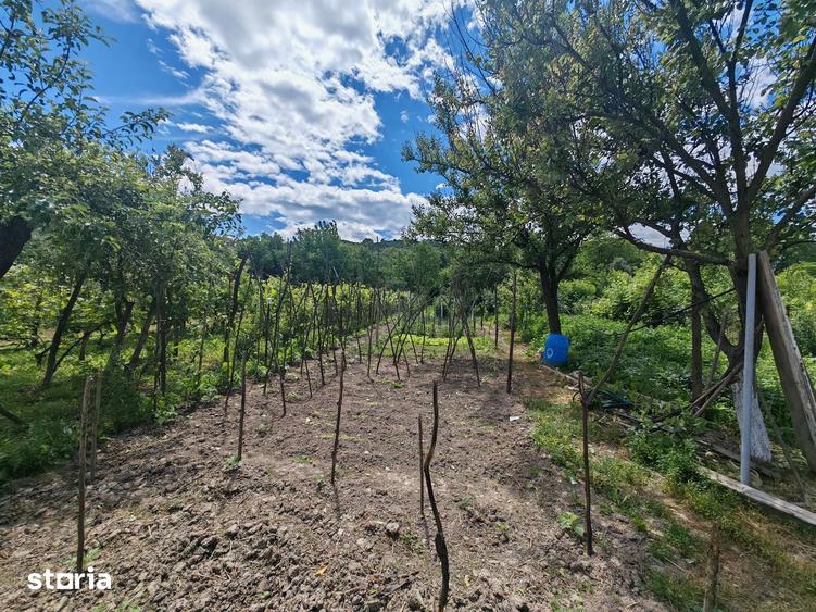 Casă cu 8 camere cu Teren 1150 Mp în Blăgești