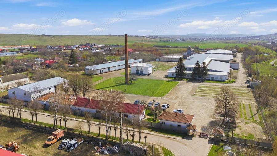 Spațiu comercial, de 11,500 mp, în Sud