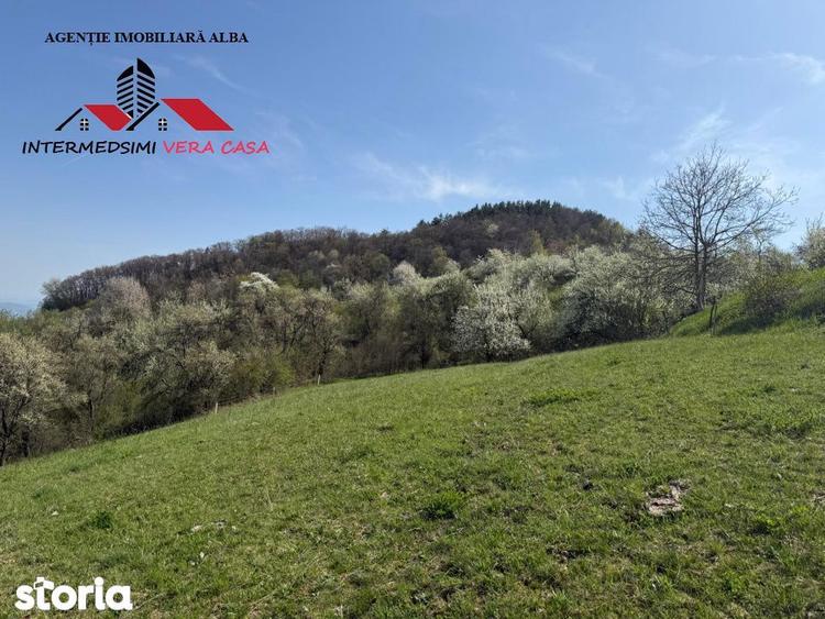 Teren de 13698 mp, în Vințu de Jos