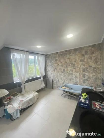 Casă cu 8 camere cu Piscina în Săsar