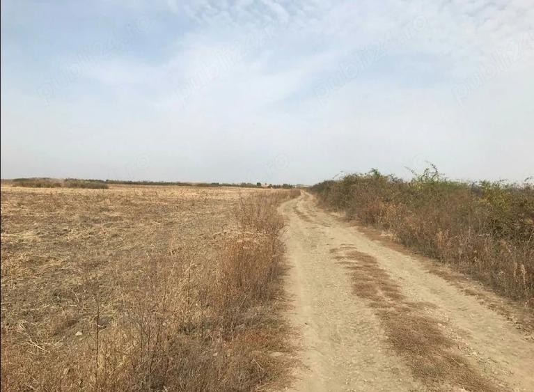Teren de 10400 mp, în Central