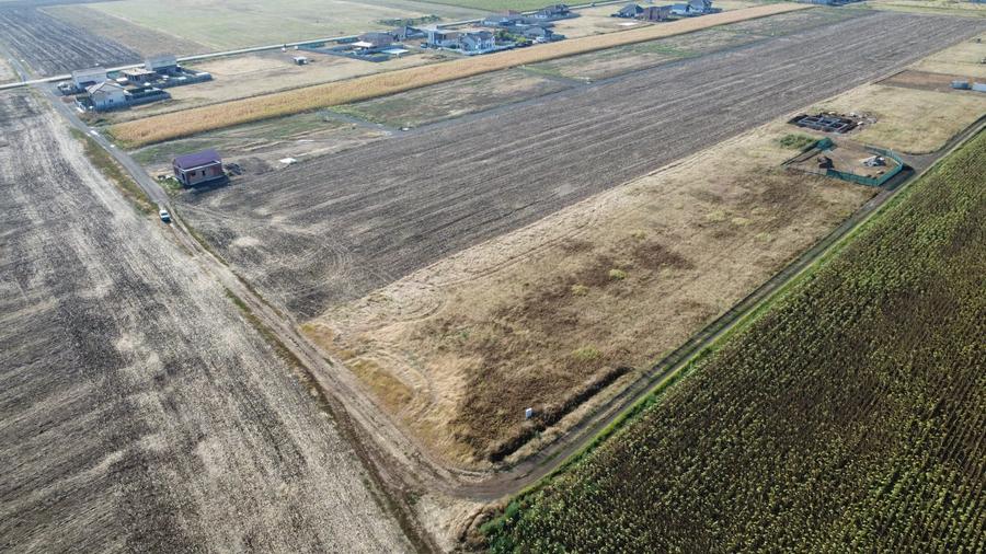 Teren Construcții intravilan de 733 mp, în Sânandrei