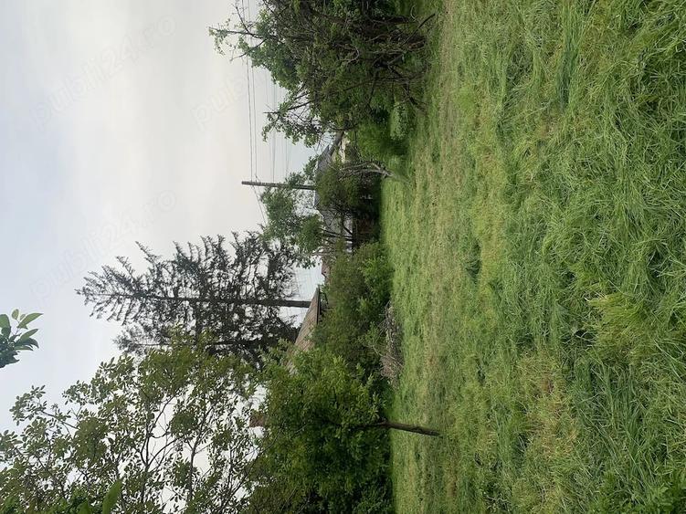 Teren de 1183 mp, în Surlari