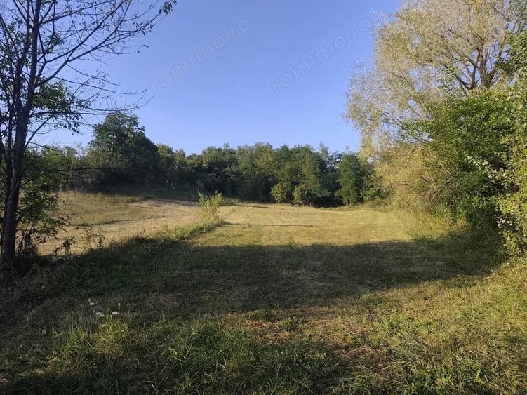 Teren de 2631 mp, în Malu Mierii