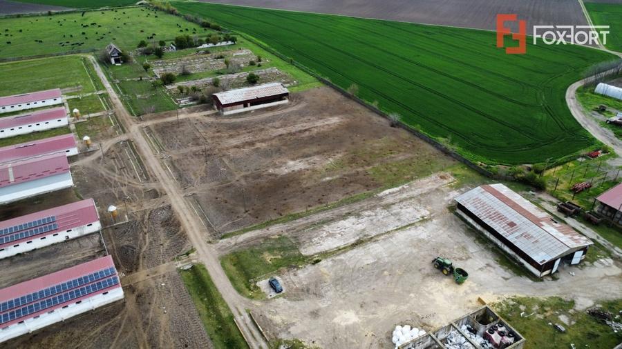 Teren Construcții intravilan de 58340 mp, în Sânmartinu Sârbesc