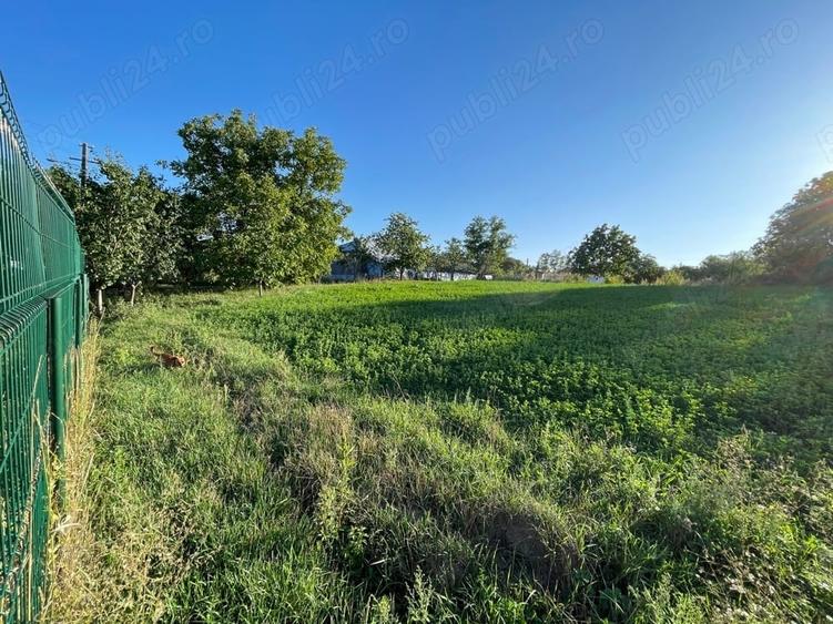 Casă cu Teren 3000 Mp în Gorbănești