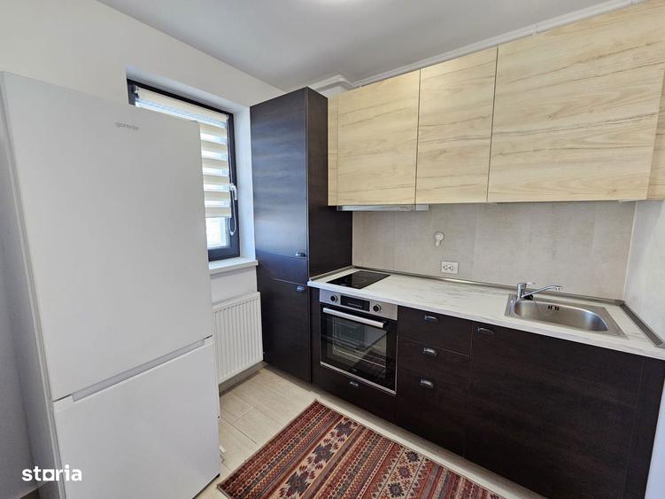Apartament cu o camera de inchiriat, Hils Pallady - 4
