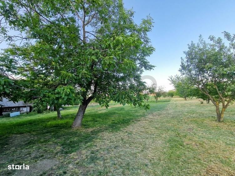 Casă cu 4 camere cu Teren 2700 Mp în Girișu de Criș