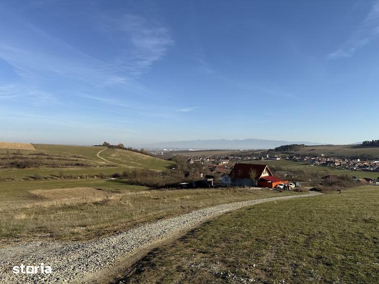 Teren de 542 mp, în Șura Mică