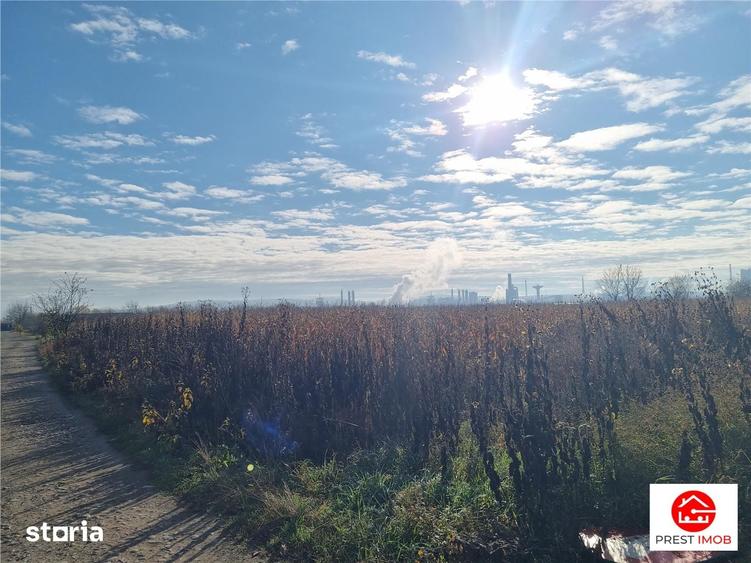 Teren de 3900 mp, în Sâncraiu de Mureș