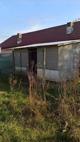 Casă cu 3 camere cu Teren 5002 Mp în Butimanu